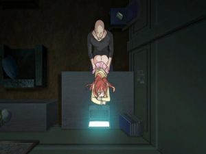 Assistir Souryo to Majiwaru Shikiyoku no Yoru ni