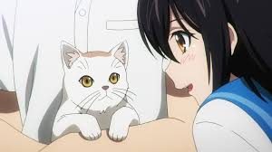 Assistir Strike the Blood  09