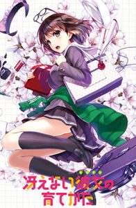 Assistir Saenai Heroine no Sodatekata 2 – Todos os Episódios Online Online em HD